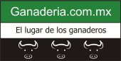 www.ganaderia.com.mx