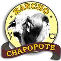 www.ranchochapopote.com